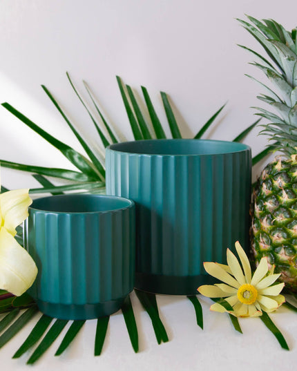 Monroe Planter | Rainforest: 6.75 inch *PLANT INCLUDED!!