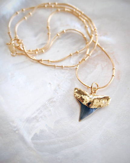 Gold Shark Tooth Necklace On Twin Dot Gold Snake Chain - Mano Niho Kahi Black Ii: 18 Inches