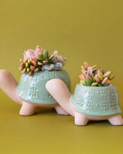Turtle Planter | Lagoon: M *PLANT INCLUDED!!
