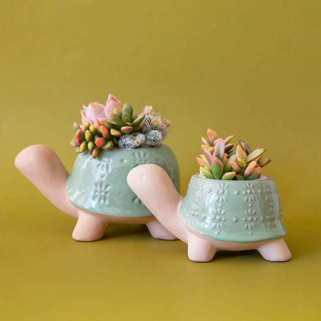 Turtle Planter | Lagoon: M *PLANT INCLUDED!!