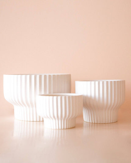 Presley Pedestal Planter | White: 5.5 inch *PLANT INCLUDED!!