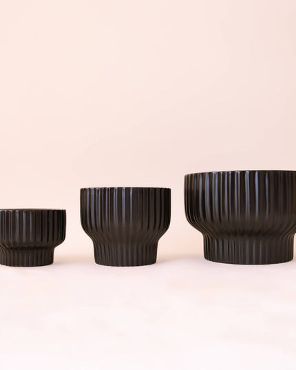 Presley Pedestal Planter | Black: 4.5 inch *PLANT INCLUDED!!