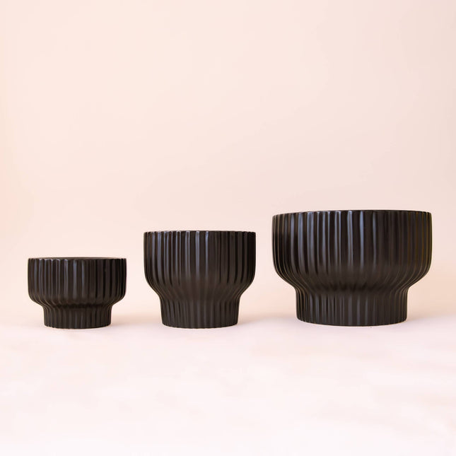Presley Pedestal Planter | Black: 4.5 inch *PLANT INCLUDED!!