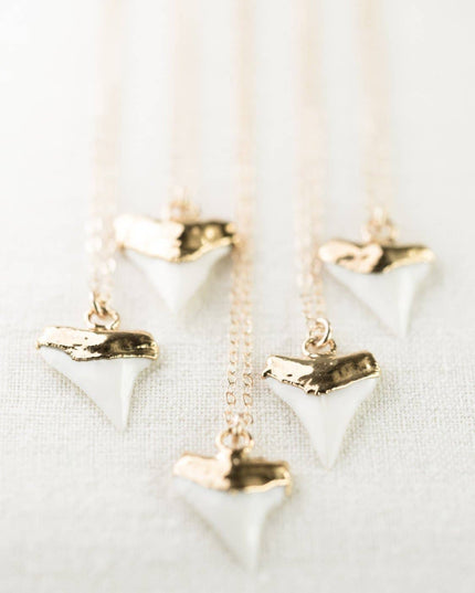 Gold Dipped White Shark Tooth Necklace - Mano Niho Kahi: 16 inches