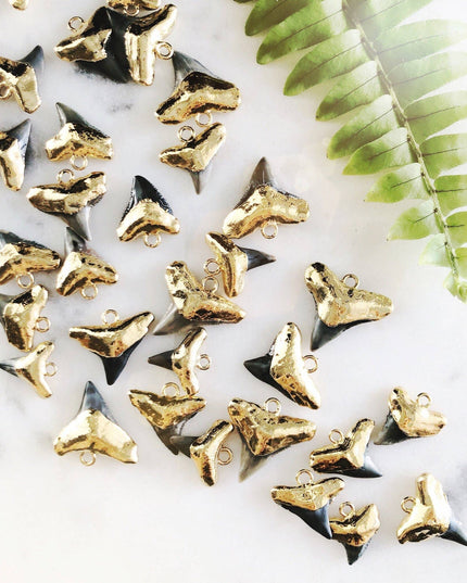 Black Gold Dipped Shark Tooth Necklace - Mano Niho Kahi Black: 18 Inches