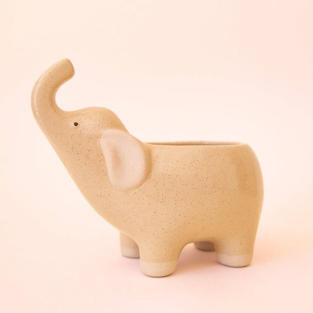 Elephant Planter | Sand: M *PLANT INCLUDED!!