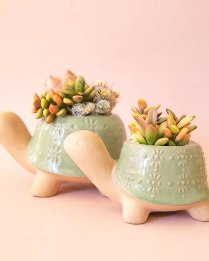 Turtle Planter | Lagoon: M *PLANT INCLUDED!!