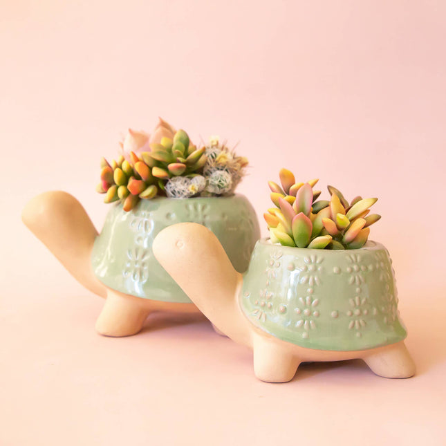 Turtle Planter | Lagoon: M *PLANT INCLUDED!!