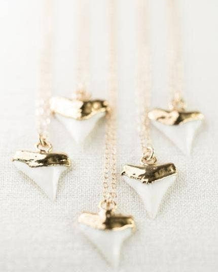 Gold Dipped White Shark Tooth Necklace - Mano Niho Kahi: 20 inches