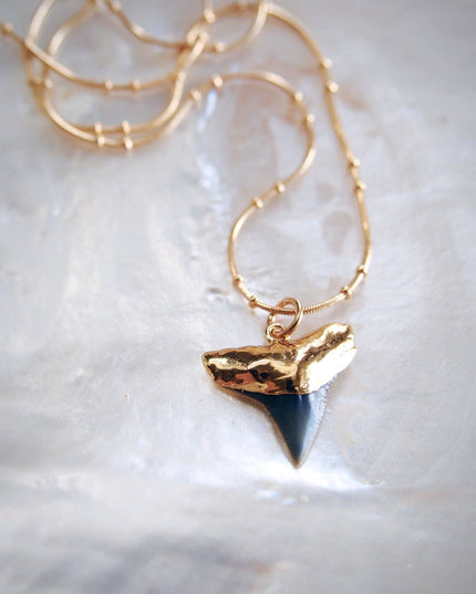 Gold Shark Tooth Necklace On Twin Dot Gold Snake Chain - Mano Niho Kahi Black Ii: 18 Inches