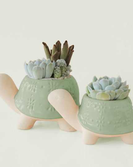 Turtle Planter | Lagoon: M *PLANT INCLUDED!!