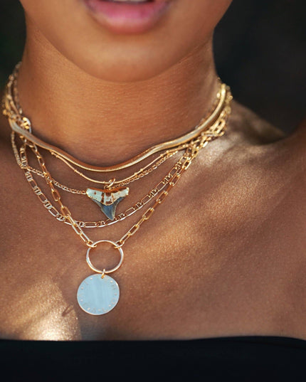 Gold Shark Tooth Necklace On Twin Dot Gold Snake Chain - Mano Niho Kahi Black Ii: 18 Inches
