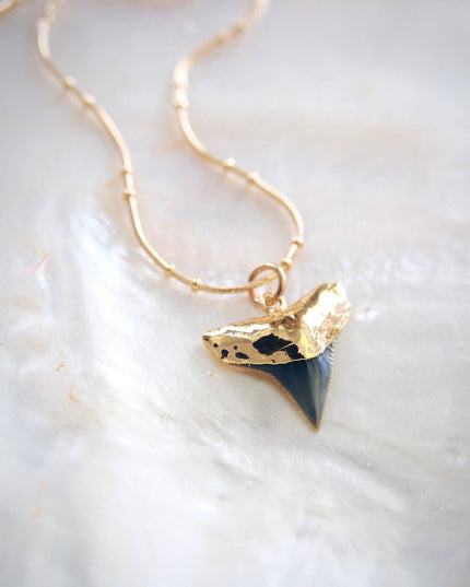 Gold Shark Tooth Necklace On Twin Dot Gold Snake Chain - Mano Niho Kahi Black Ii: 18 Inches