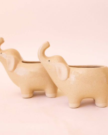 Elephant Planter | Sand: M *PLANT INCLUDED!!