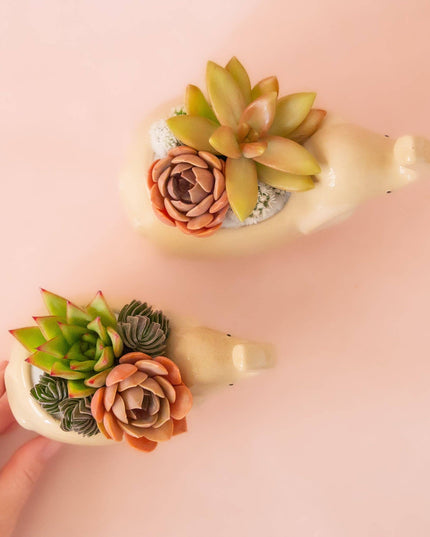 Elephant Planter | Sand: M *PLANT INCLUDED!!