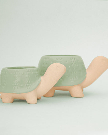 Turtle Planter | Lagoon: M *PLANT INCLUDED!!