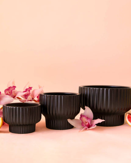 Presley Pedestal Planter | Black: 4.5 inch *PLANT INCLUDED!!