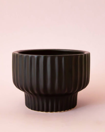 Presley Pedestal Planter | Black: 4.5 inch *PLANT INCLUDED!!