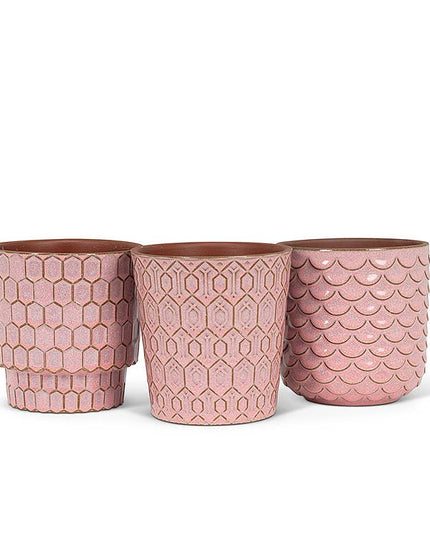 Sm Pink Textured Planters - 4"H *PLANT INCLUDED!!