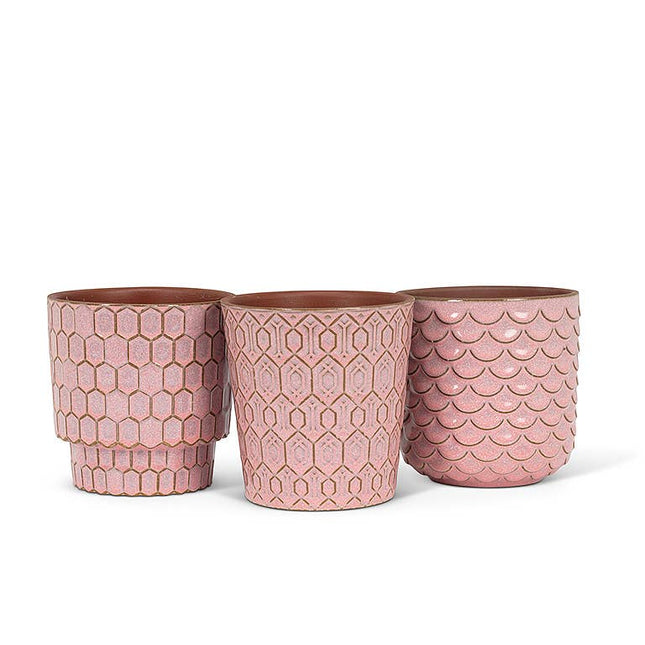 Sm Pink Textured Planters - 4"H *PLANT INCLUDED!!