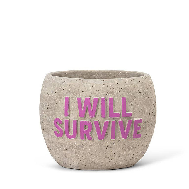 Sm I WILL SURVIVE Planter-4" *PLANT INCLUDED!!
