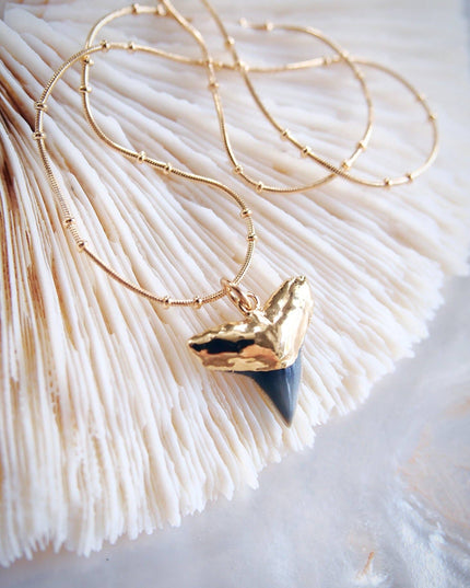 Gold Shark Tooth Necklace On Twin Dot Gold Snake Chain - Mano Niho Kahi Black Ii: 18 Inches