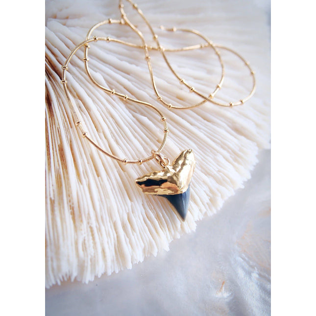Gold Shark Tooth Necklace On Twin Dot Gold Snake Chain - Mano Niho Kahi Black Ii: 18 Inches